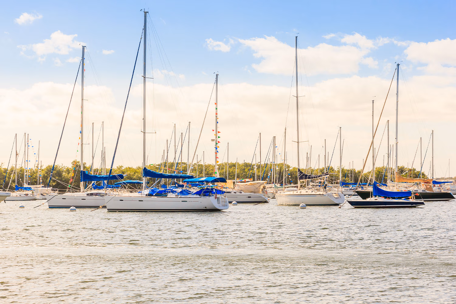 Contact Regatta Grove