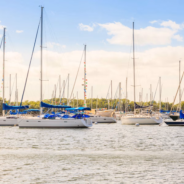 Celebration gathering at Regatta Grove waterfront venue