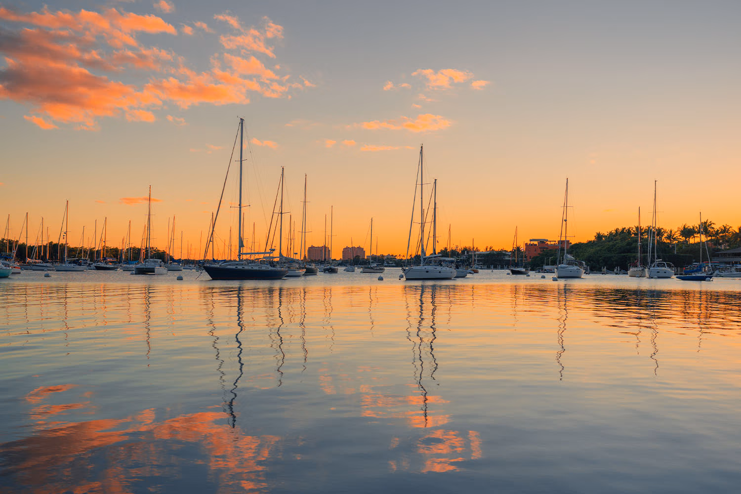 hero-image-16 - Regatta Grove